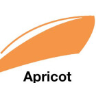 Apricot