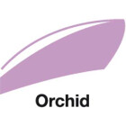 Orchid