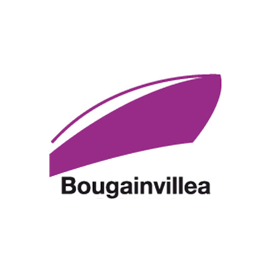 Bougainvillea