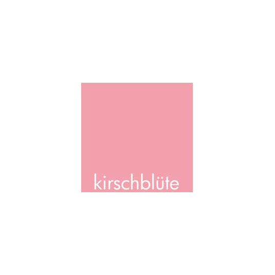 kirschblüte