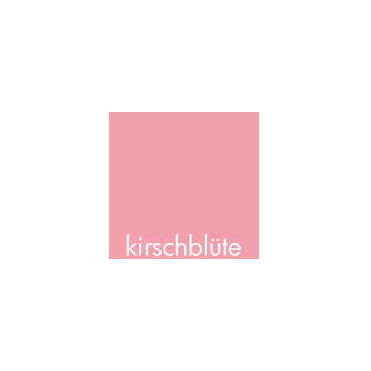 kirschblüte