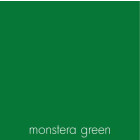 monstera green