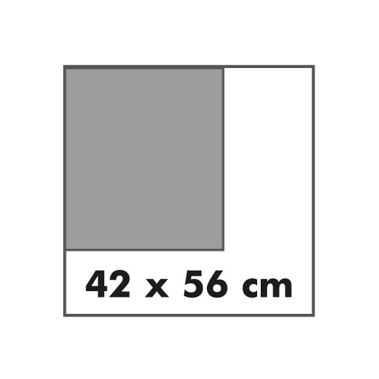 42x56