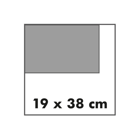 19x38