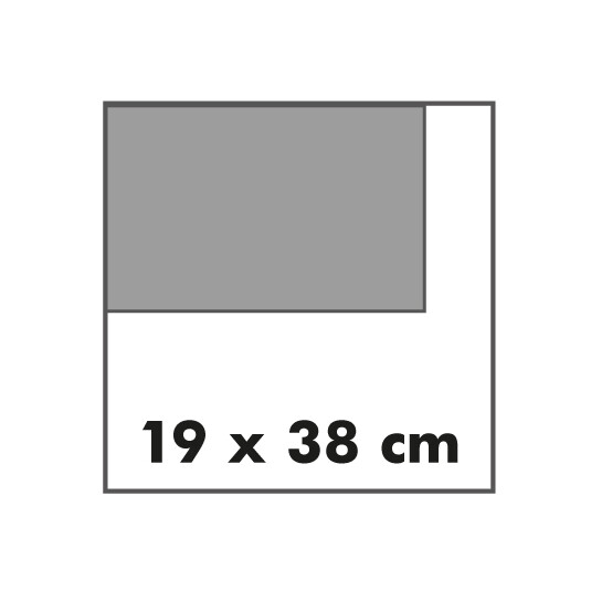 19x38
