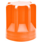 neonorange